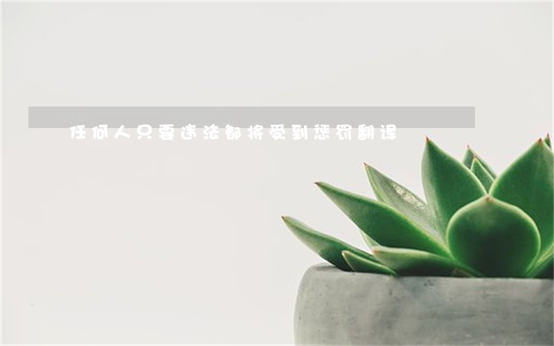 任何人只要违法都将受到惩罚翻译 任何人只要违法都将受到惩罚翻译