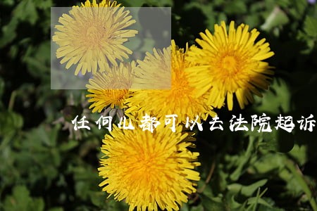 任何儿都可以去法院起诉吗 任何儿都可以去法院起诉吗