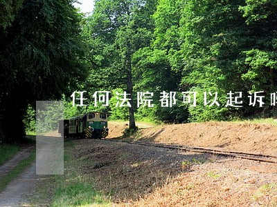 任何法院都可以起诉吗 任何法院都可以起诉吗
