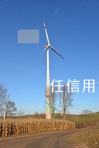 任信用能逾期多久 任信用能逾期多久