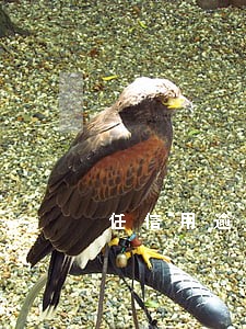 任信用逾期3个月 任信用逾期3个月