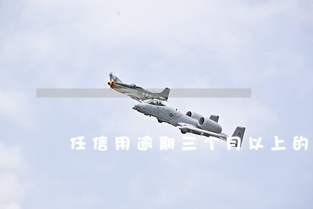 任信用逾期三个月以上的 任信用逾期三个月以上的