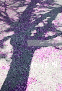 任信用逾期上证信吗 任信用逾期上证信吗