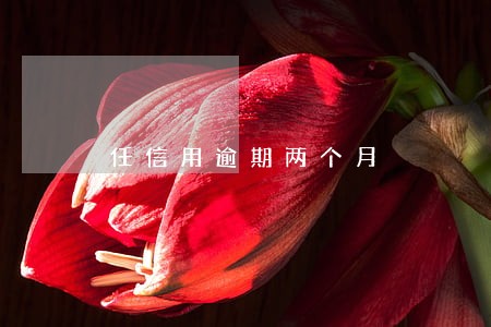 任信用逾期两个月 任信用逾期两个月