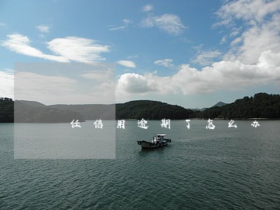 任信用逾期了怎么办 任信用逾期了怎么办