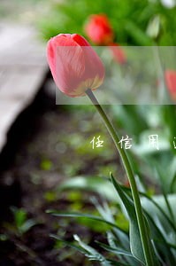 任信用逾期很久 任信用逾期很久