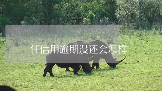任信用逾期没还会怎样 任信用逾期没还会怎样