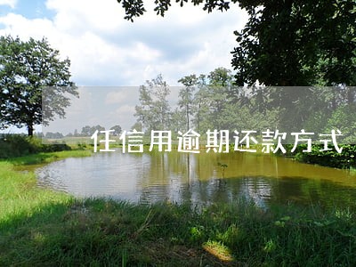 任信用逾期还款方式 任信用逾期还款方式