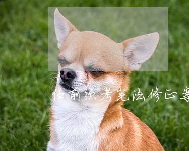 任前须考宪法修正案 任前须考宪法修正案