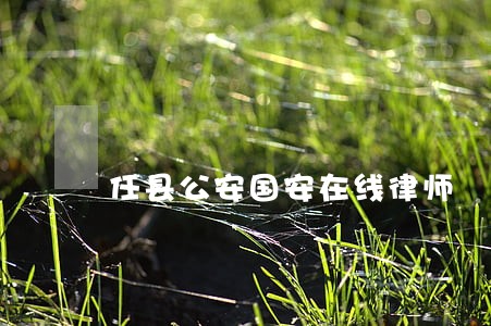 任县公安国安在线律师 任县公安国安在线律师