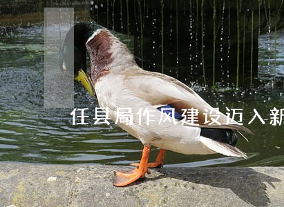 任县局作风建设迈入新常态