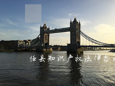任县知识产权法律咨询 任县知识产权法律咨询