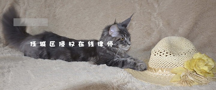 任城区侵权在线律师 任城区侵权在线律师