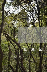 任城区房屋拆迁律师 任城区房屋拆迁律师