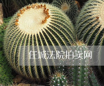 任城法院拍卖网 任城法院拍卖网