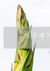 任宇律师 任宇律师
