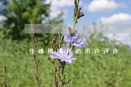 任峰刚律师的用户评价