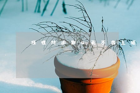 任性付逾期4天不会上征信吧 任性付逾期4天不会上征信吧