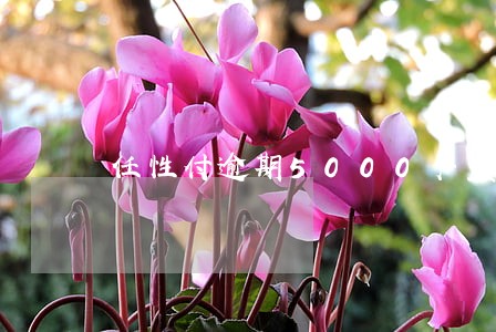 任性付逾期5000严重吗 任性付逾期5000严重吗