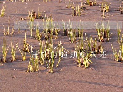 任性付逾期6天还上门 任性付逾期6天还上门