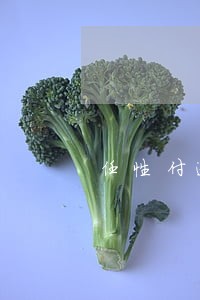 任性付逾期8000一年了 任性付逾期8000一年了