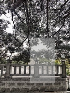 任性付逾期一天会影响信用 任性付逾期一天会影响信用