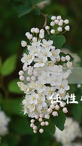 任性张贴属违法 任性张贴属违法