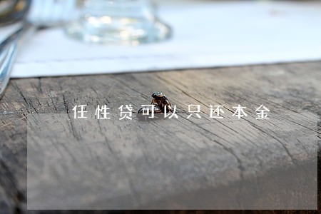 任性贷可以只还本金 任性贷可以只还本金