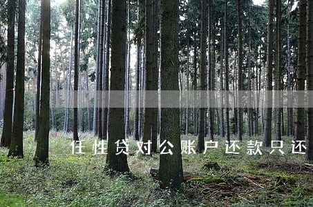 任性贷对公账户还款只还本金
