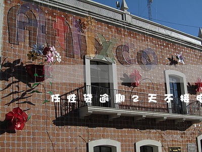 任性贷逾期2天不接电话 任性贷逾期2天不接电话