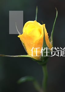 任性贷逾期5天会打通讯录 任性贷逾期5天会打通讯录