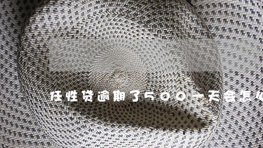 任性贷逾期了500一天会怎么样 任性贷逾期了500一天会怎么样