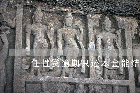 任性贷逾期只还本金能结清吗 任性贷逾期只还本金能结清吗