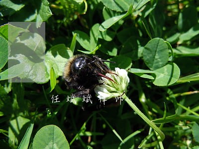 任斌斌律师 任斌斌律师