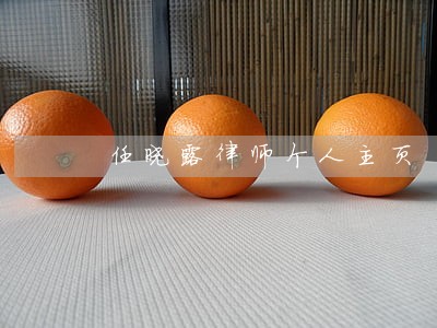 任晓露律师个人主页 任晓露律师个人主页