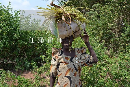 任涌律师 任涌律师