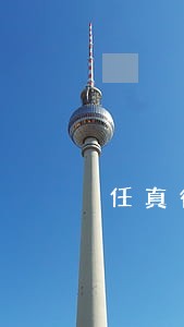 任真律师
