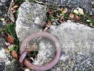任石嘴山市司法局局长 任石嘴山市司法局局长