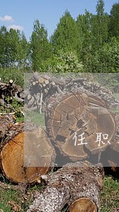 任职期间企业执行国家财经法规 任职期间企业执行国家财经法规