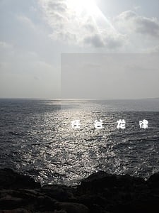 任谷龙律师用户评价 任谷龙律师用户评价