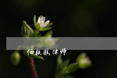 任轶鹤律师 任轶鹤律师