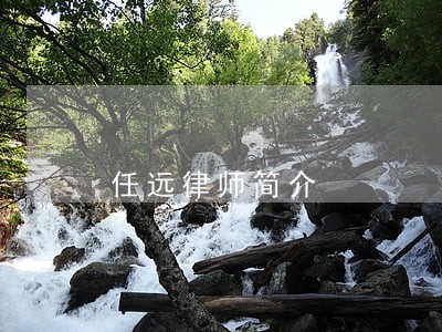 任远律师简介 任远律师简介