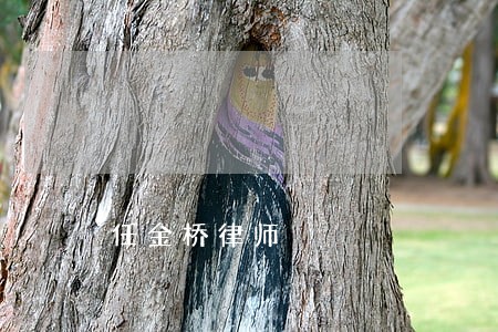 任金桥律师 任金桥律师