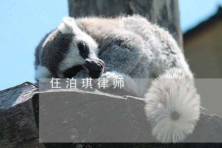 仼泊琪律师 仼泊琪律师