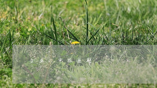 企业0申报逾期 企业0申报逾期