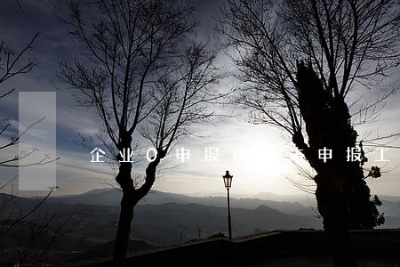 企业0申报逾期未申报工资 企业0申报逾期未申报工资