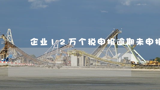 企业12万个税申报逾期未申报 企业12万个税申报逾期未申报