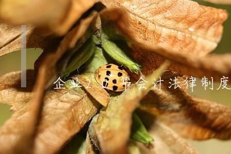 企业20年会计法律制度沿革 企业20年会计法律制度沿革