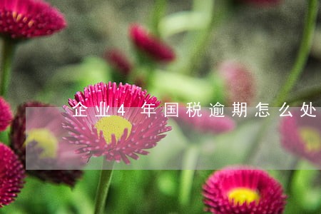企业4年国税逾期怎么处罚 企业4年国税逾期怎么处罚