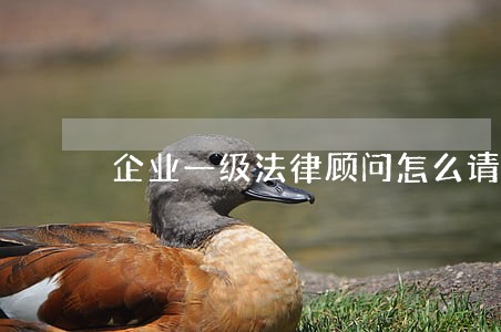 企业一级法律顾问怎么请 企业一级法律顾问怎么请